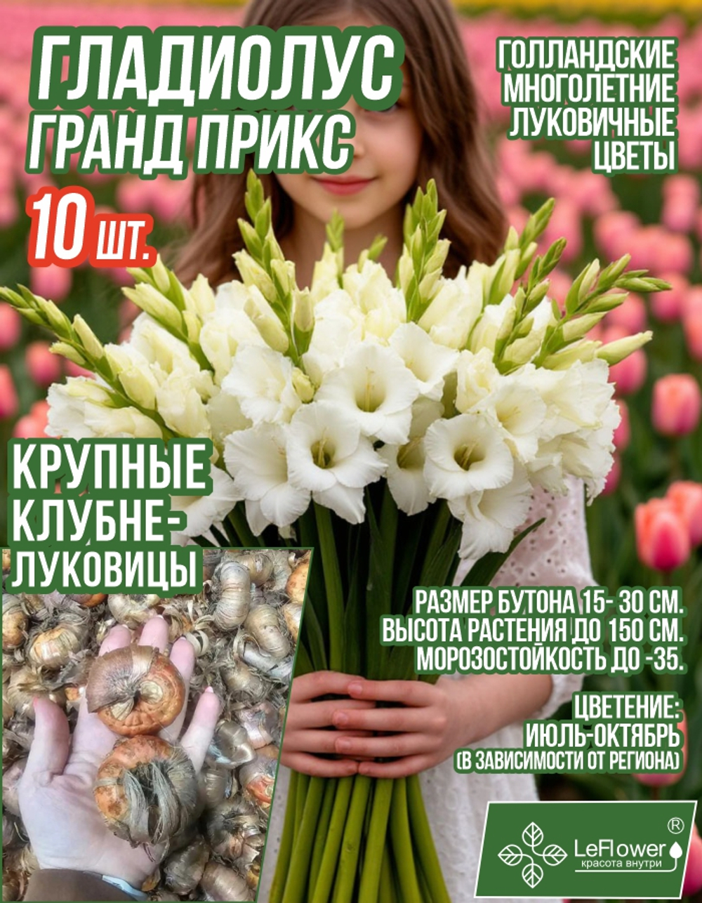 Гладиолус Луковица, Гранд прикс, крупные, 10шт