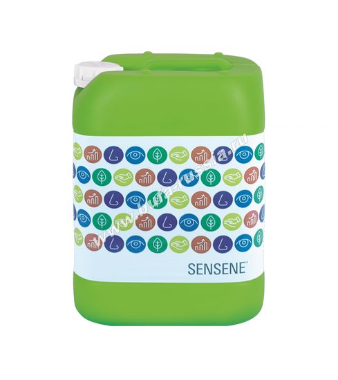SENSENE