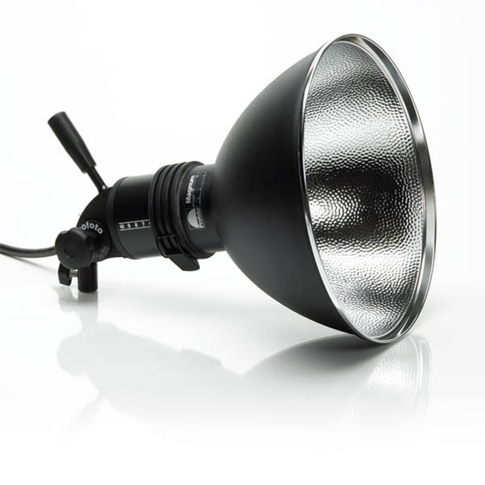 Profoto ProTwin UV 500W генераторная голова 900719