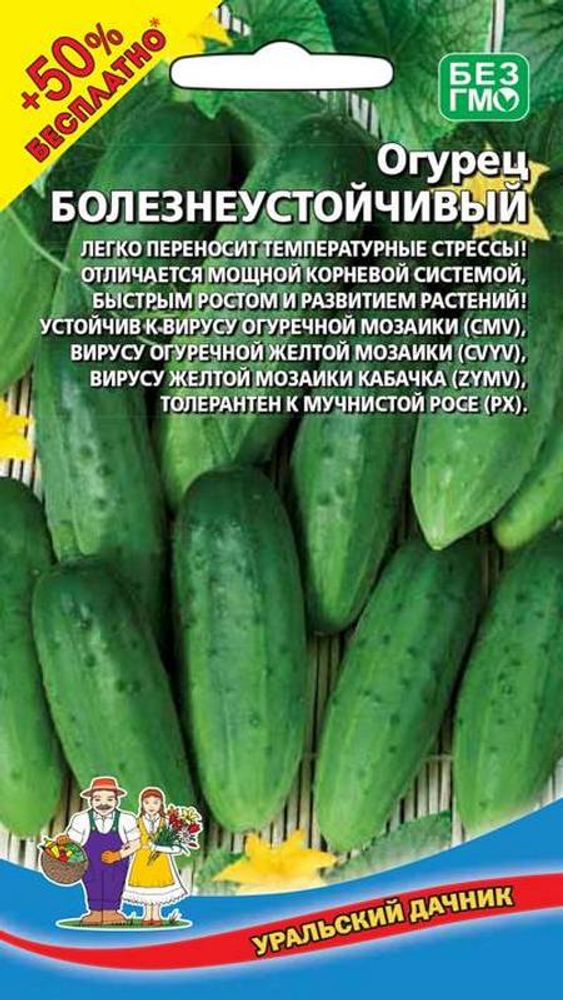 Огурец &quot;G. Болезнеустойчивый&quot; 10шт + 50% БЕСПЛАТНО, Россия.