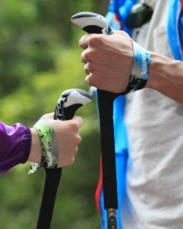 Телескопические палки