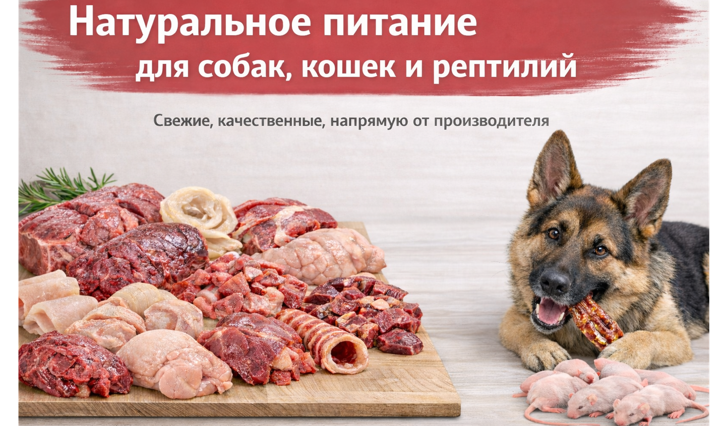 Каталог