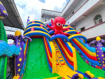 Коммерческий надувной батут «Мега риф 2», 14*7*8 м