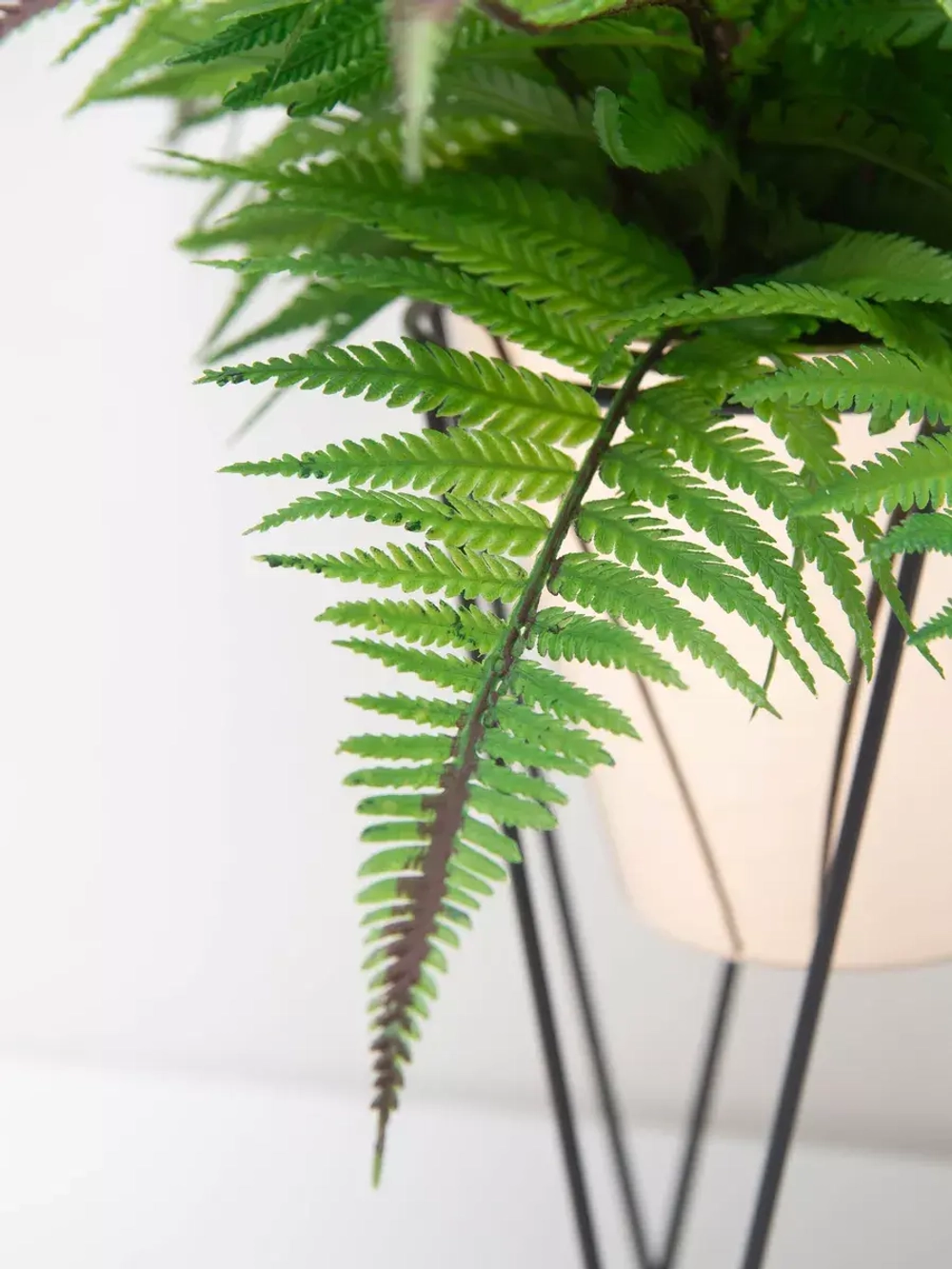 Искусственные растения для декора