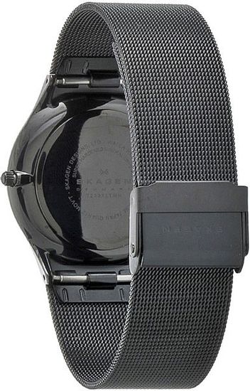 Наручные часы Skagen T233XLTMN