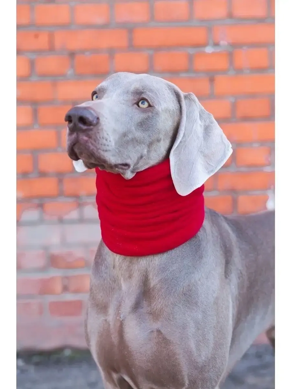 Снуды для собак флисовый шарф шапка для животных