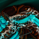 Блюдо для десерта