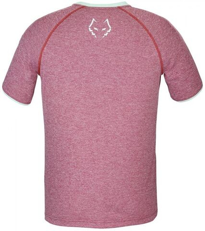Мужская теннисная футболка Babolat Crew Neck T-Shirt Lebron - red dahlia