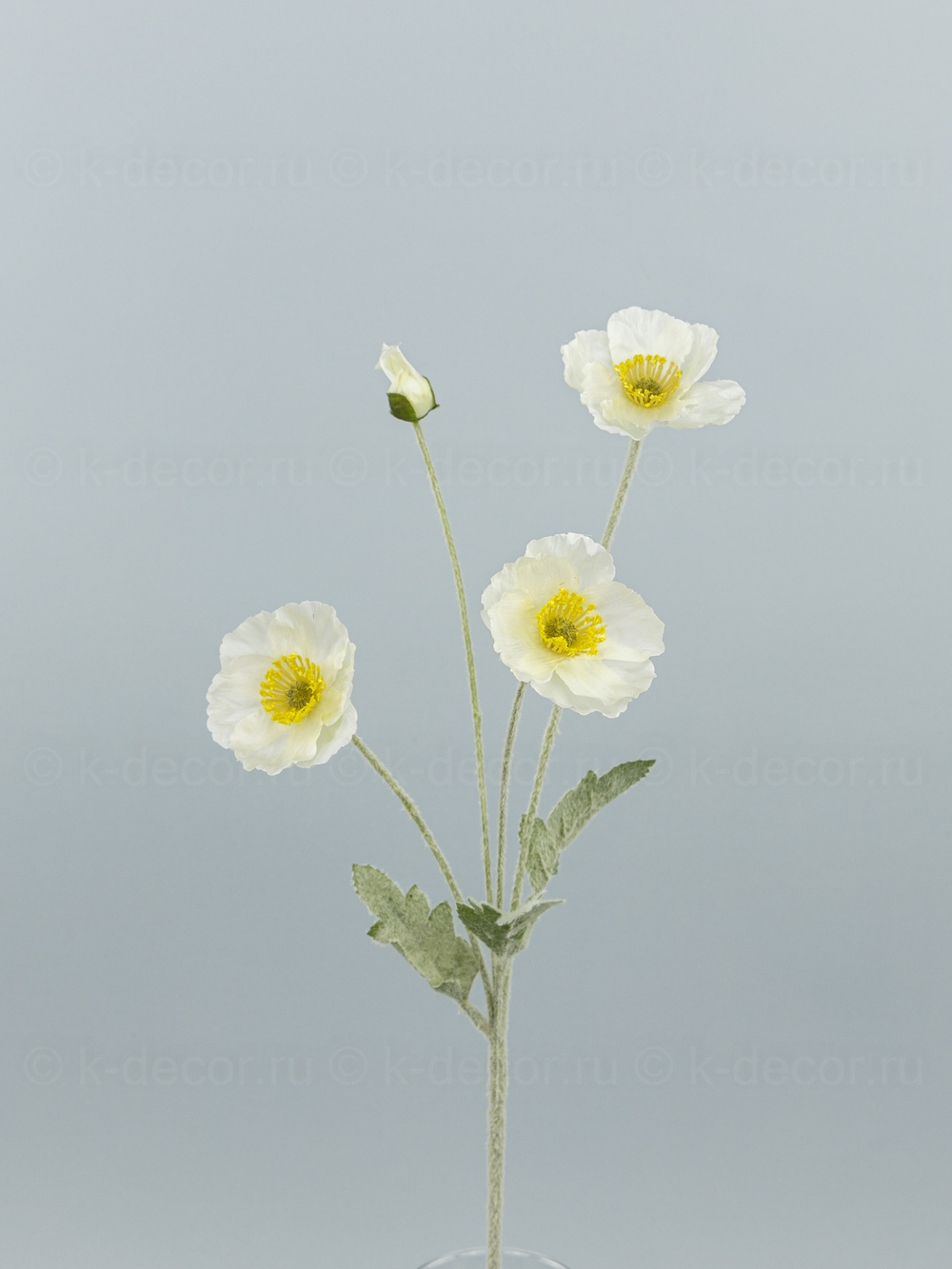 Ветка мака Мария