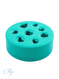 Молд Снежноягодник