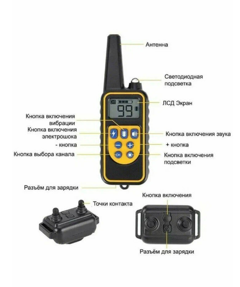 Электронный ошейник для дрессировки собак