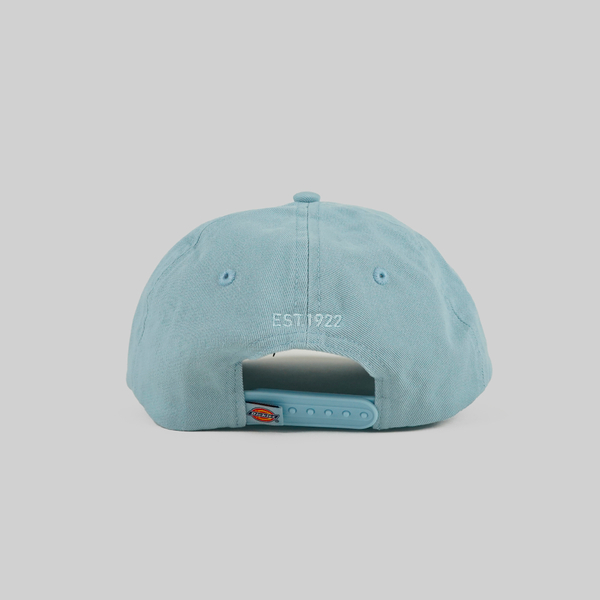 Кепка Dickies 6 Panel Logo артикул:DK0A4TKVB551 - купить в магазине Дайс