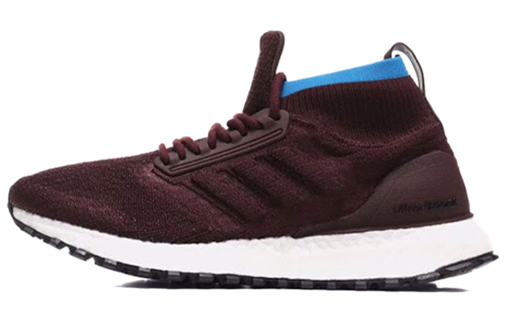 Кроссовки Adidas Ultraboost All Terrain