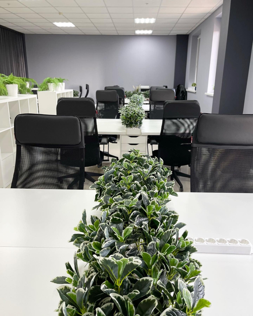 Озеленение искусственными растениями офисного пространства компании «SimbirSoft»