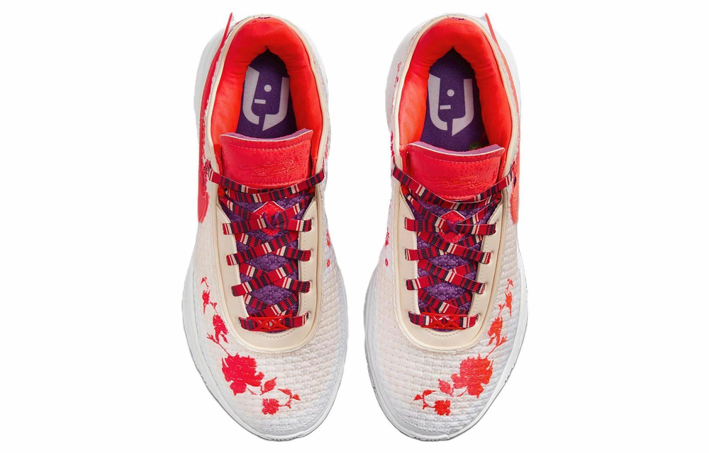 Кроссовки Mimi Plange X Nike Lebron 20 Ep