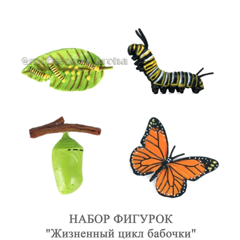 НАБОР ФИГУРОК "Жизненный цикл бабочки"