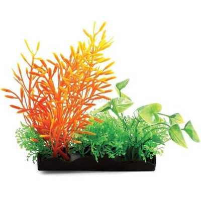 Растения композиция, оранжевая, 150мм, Laguna AQUA