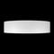 Потолочный светильник Loft it Coin 10202 WB