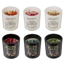 GAEM Свеча ароматическая (блок микс 12шт), L7 W7 H8 см, 2в.