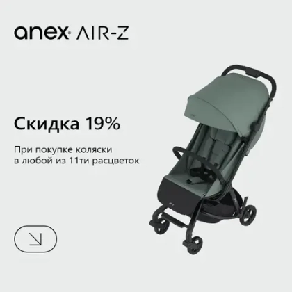 Скидка 19% на коляски Anex AIR-Z