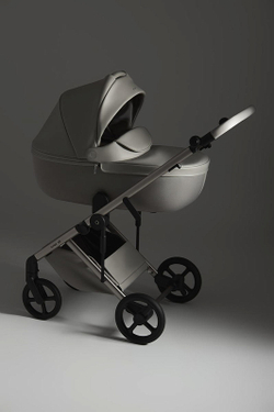 Детская коляска Anex Eli 2 в 1 без рюкзака Santal El-06