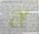 Люпин Минарет 0,3 г СМЦ-213