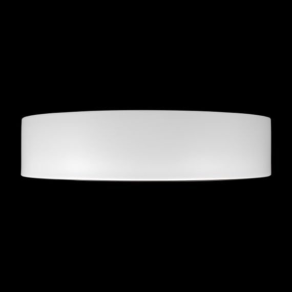 Потолочный светильник Loft it Coin 10202 WB