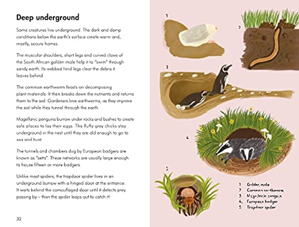 Ladybird Book: Animal Habitats 