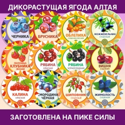 Жимолость Алтайская сладкая с горчинкой, 250 г. ягода сушеная