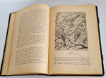 "Из родной природы". Д.Н.Кайгородов. 1907г.