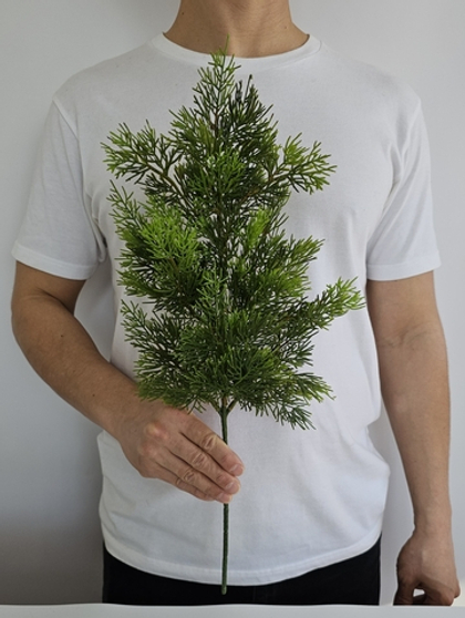 Туя премиум / Арт 5082