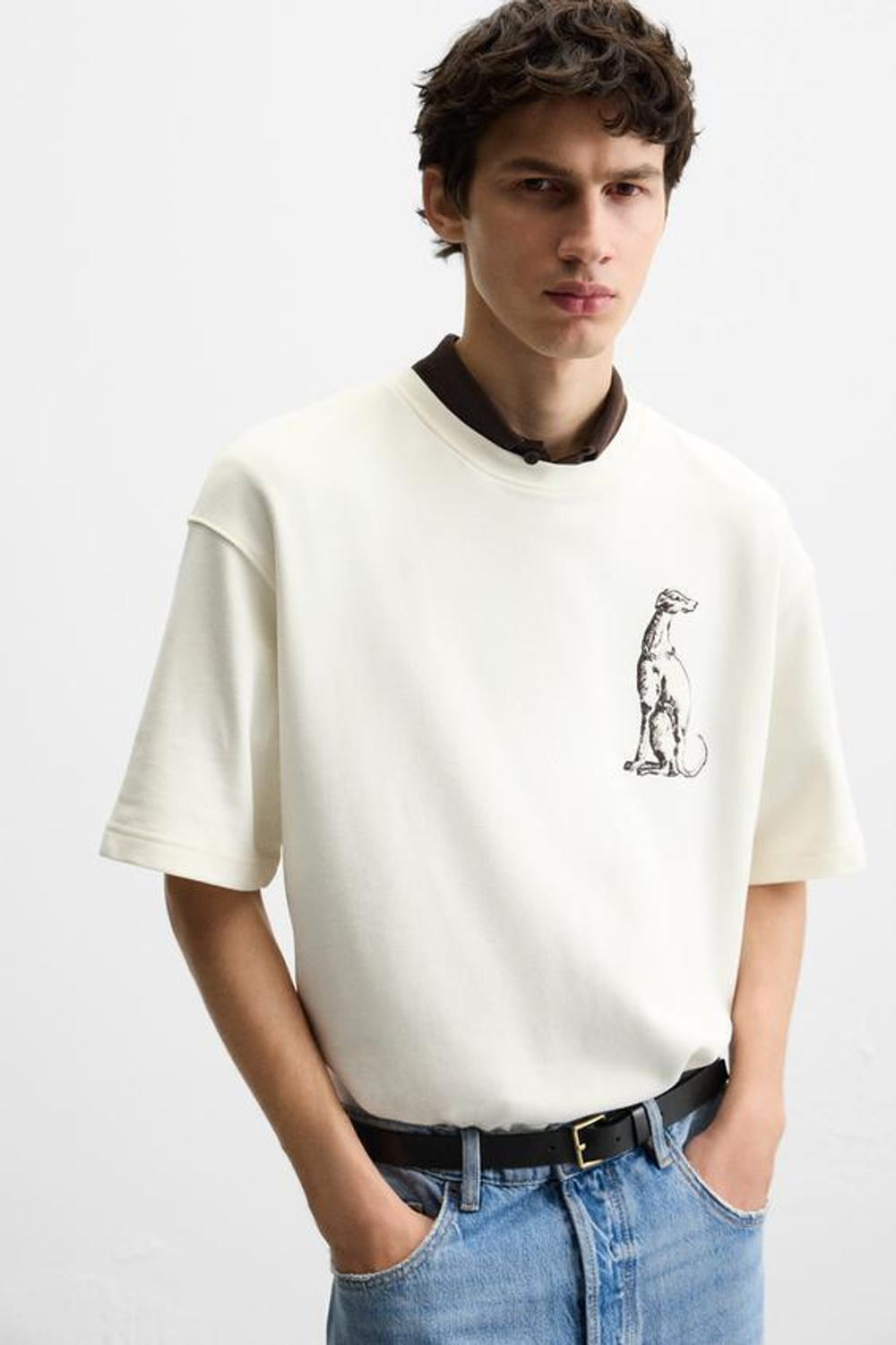 ZARA ТОЛСТОВКА С ВЫШИВКОЙ "БОРЗАЯ", ЖЕЛТОВАТО-БЕЛЫЙ