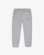 Штаны Питерский Щит Logo Зимние Серые