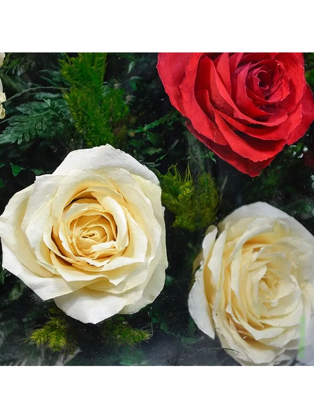 натуральные цветы в стекле, вакуум 01.04