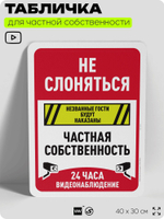 Табличка для частной территории "Не слоняться, частная собственность", на дом, для участка, организаций, предупреждающая, 40х30 см, Silver Plane x Айдентика Технолоджи