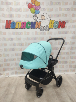 Коляска прогулочная Rant Flex 2021 Blue