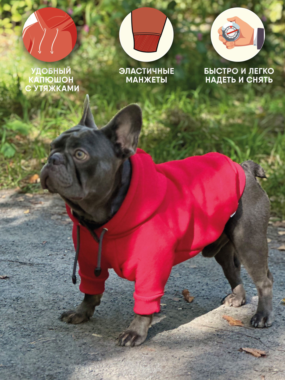 Толстовка для собак пород французского бульдога, мопса, голубой,M