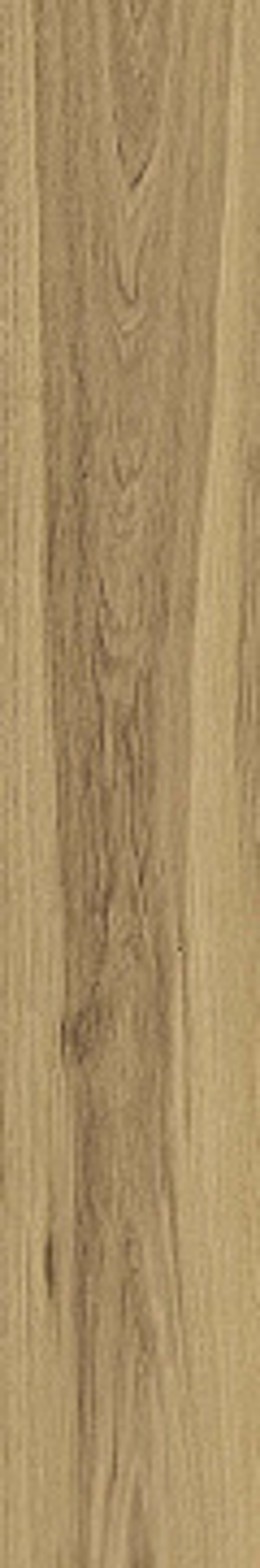 Керамогранит ATLAS CONCORDE RUSSIA RIVE Acqua Riva Ret 20x120 Матовая (610010002299) 9мм.