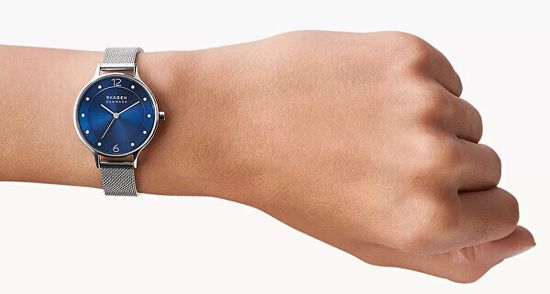 Наручные часы Skagen SKW2307