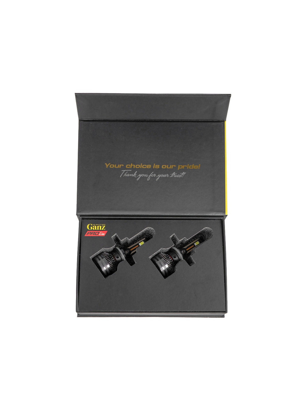 Лампа светодиодная 12/24V H27/1-2 55W 4000lm 6000K (LED) GANZ PRO-Line 2 шт. DUOBOX IP68 GIP06365