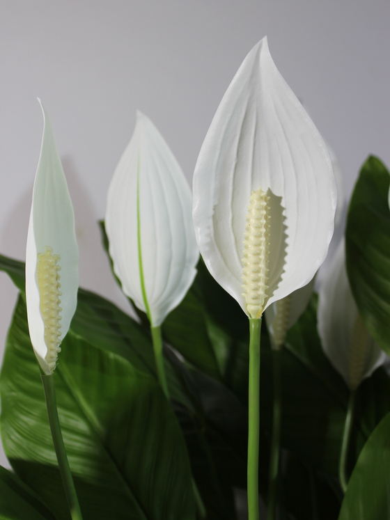 Искусственные цветы Спатифиллум в коричневом кашпо ротанг 51см