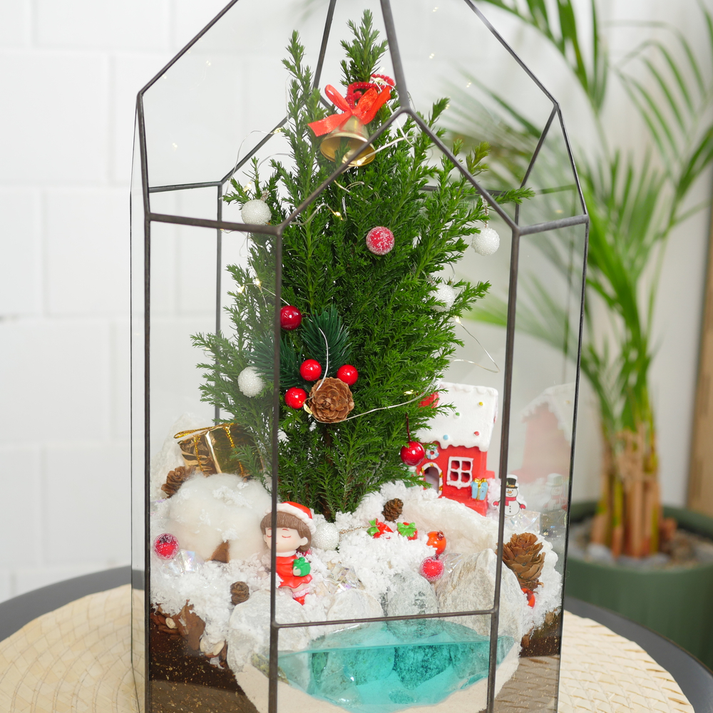 Готовый новогодний флорариум Бонсариум 35см с озером