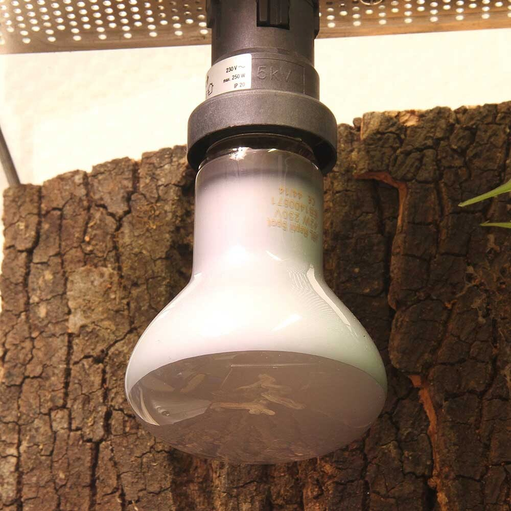 JBL ReptilSpot HaloDym 42 Вт - галогеновая неодимовая лампы для освещения и обогрева террариума