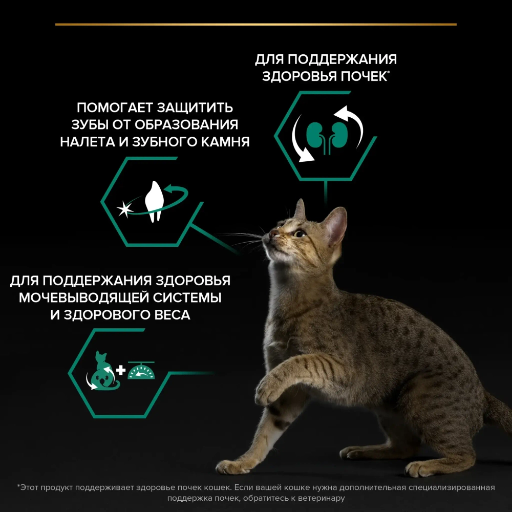 Сухой корм Индейка, для стерилизованных кошек Pro Plan 10+2 РАЗВЕСНОЙ