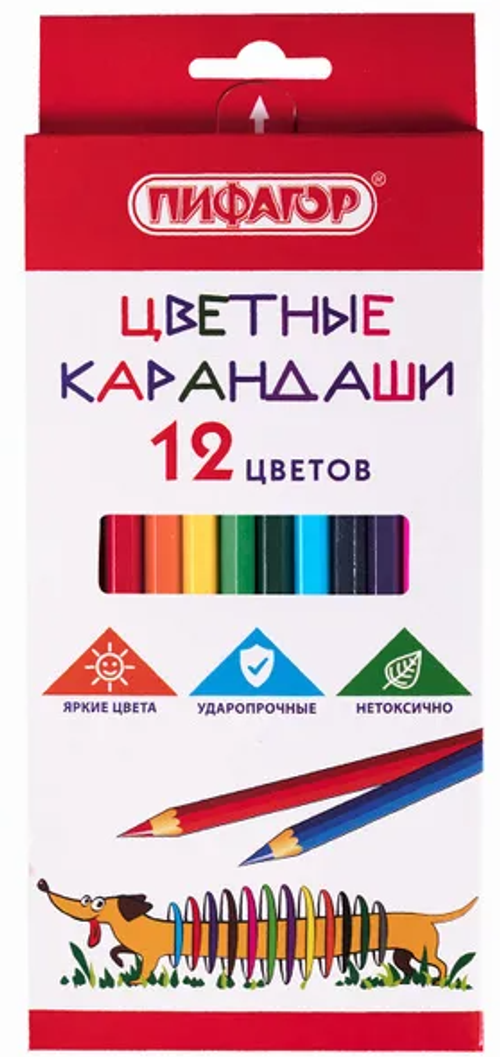Карандаши цветные Пифагор Веселая Такса 12 цветов классические заточенные