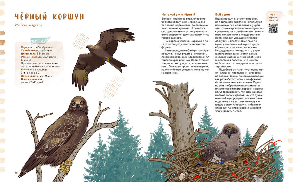 Птицы в деревне