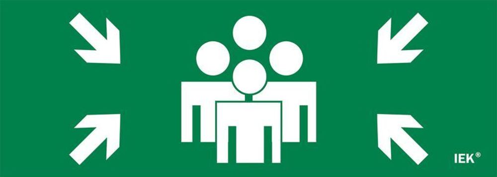 Этикетка самоклеящаяся 280х100мм "Место сбора" IEK LPC10-1-28-10-MSTS