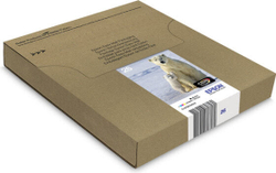 Катридж струйный Подлинный Черный Голубой Пурпурный Желтый Epson Polar bear C13T26164511 1 шт