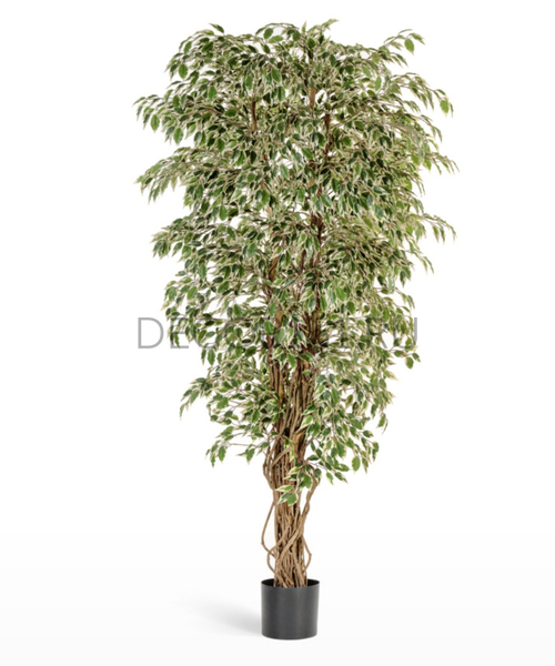 Гавайский фикус лиана пёстролистный 180см арт. 10.30906NW