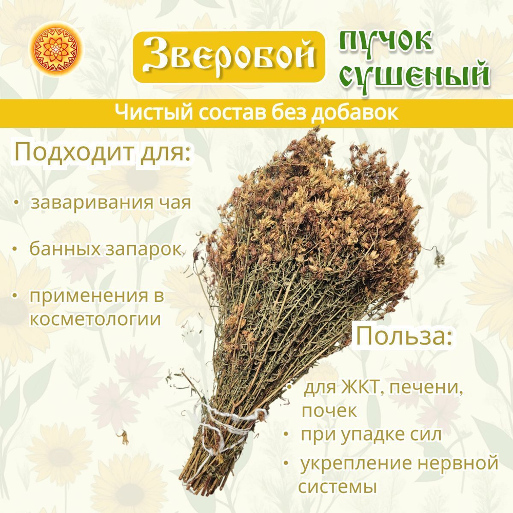 Зверобой пучок.